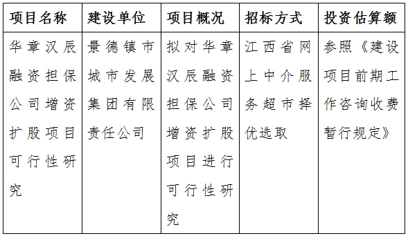 華章漢辰融資擔(dān)保公司增資擴股項目可行性研究計劃公告