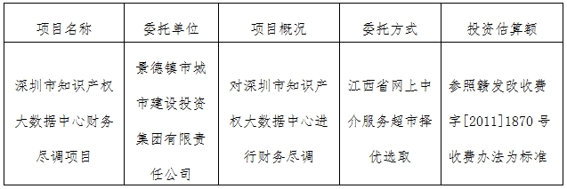 深圳市知識產(chǎn)權大數(shù)據(jù)中心財務盡調(diào)項目計劃公告