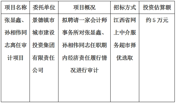 張顯鑫、孫相偉同志離任審計(jì)項(xiàng)目計(jì)劃公告